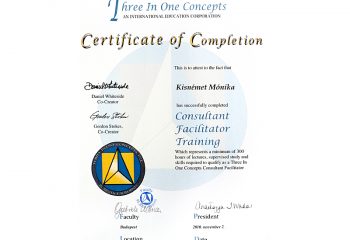 consultant_facilitator_training