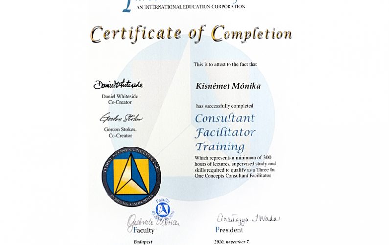 consultant_facilitator_training